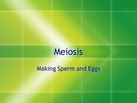 Meiosis Making Sperm and Eggs. Vocabulary  You get half your chromosomes from your mom and half from your dad--these pairs are called homologous.  A.