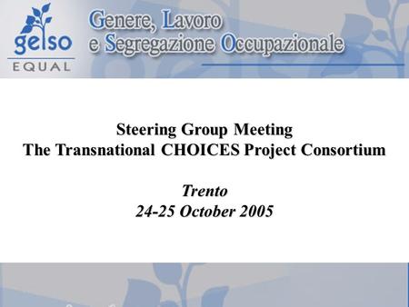 Steering Group Meeting The Transnational CHOICES Project Consortium Trento 24-25 October 2005.