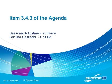 IT Directors Group 13 & 14 October 2008 Item 3.4.3 of the Agenda Seasonal Adjustment software Cristina Calizzani - Unit B5.