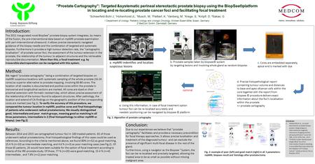 “Prostate Cartography”: Targeted &systematic perineal stereotactic prostate biopsy using the BiopSee®platform in locating and re-locating prostate cancer.