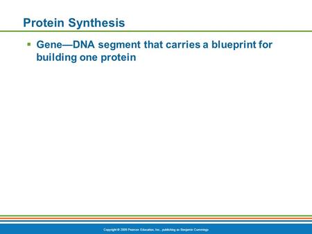 Copyright © 2009 Pearson Education, Inc., publishing as Benjamin Cummings Protein Synthesis  Gene—DNA segment that carries a blueprint for building one.