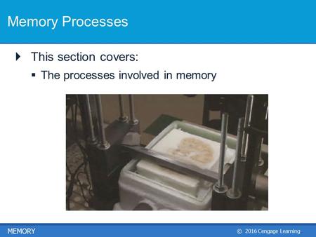 © 2016 Cengage Learning. MEMORY Memory Processes  This section covers:  The processes involved in memory.
