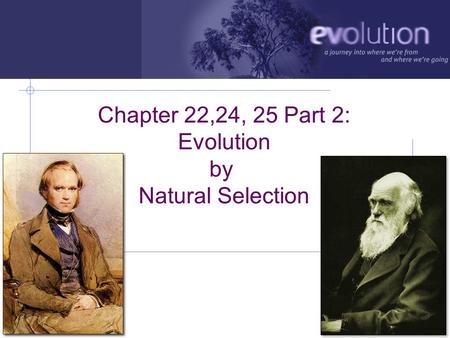 AP Biology 2006-2007 Chapter 22,24, 25 Part 2: Evolution by Natural Selection.