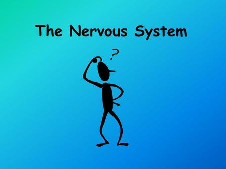 The Nervous System Parts of the Nervous System Central Nervous System Peripheral Nervous System.