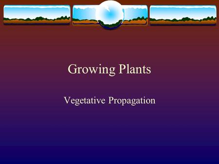 Growing Plants Vegetative Propagation. Propagation  Process of increasing the supply of a type of plant  Can be done sexually (using seeds)  - plants.