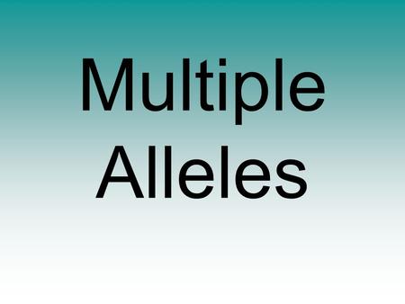 Multiple Alleles. allele = (n) a form of a gene which codes for one possible outcome of a phenotype For example, in Mendel's pea investigations, he found.