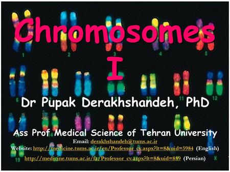 1 ChromosomesI Dr Pupak Derakhshandeh, PhD Ass Prof Medical Science of Tehran University   Website: