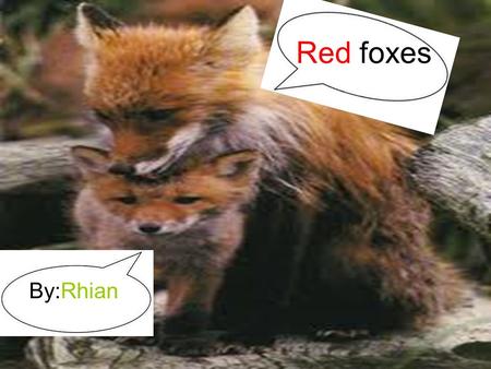 By:Rhian Red foxes. Niche Red foxes niche is to eat a lot of deer to keep its population down! Revenge………………
