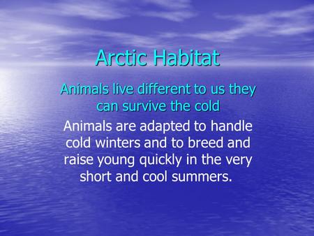 Arctic Habitat Animals live different to us they can survive the cold Animals are adapted to handle cold winters and to breed and raise young quickly in.