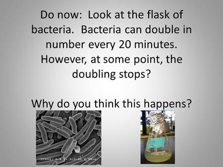 Do now: Look at the flask of bacteria. Bacteria can double in number every 20 minutes. However, at some point, the doubling stops? Why do you think this.