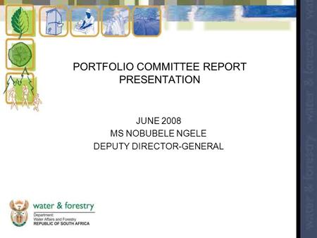 PORTFOLIO COMMITTEE REPORT PRESENTATION JUNE 2008 MS NOBUBELE NGELE DEPUTY DIRECTOR-GENERAL.