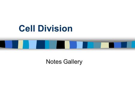 Cell Division Notes Gallery. Cell Division - Notes Gallery2 Station 1 – Interphase Description : A period of growth in which a cell can spend 90% of its.