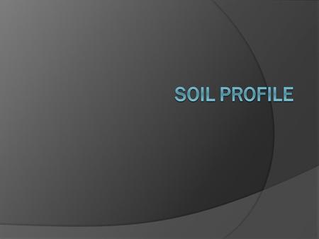 Soil Profile.