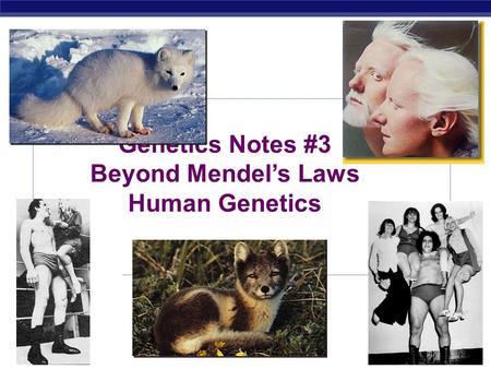 Genetics Notes #3 Beyond Mendel’s Laws Human Genetics