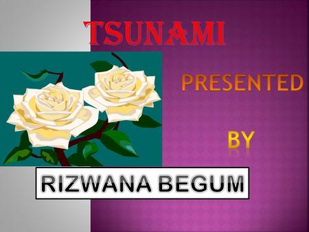 TSUNAMI PRESENTED BY RIZWANA BEGUM.
