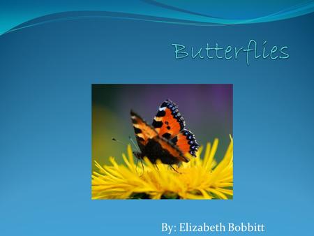 By: Elizabeth Bobbitt. INTRODUCTION: WHAT HAS COLORFUL SCALY WINGs AND IS AN INSECT ? A BUTTERFLY ! 1.
