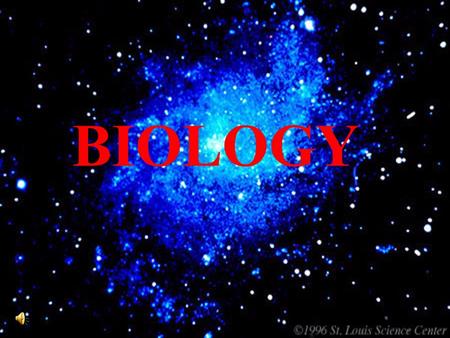 BIOLOGY STUDY OF LIFE BIOSPHERE ECOSYSTEMS HOME.
