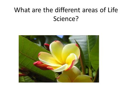 What are the different areas of Life Science?. Life Science = Biology.