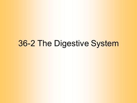 36-2 The Digestive System. Digestive Tract Alimentary canal –one way passage through the body Function: –to convert food into simple molecules that can.