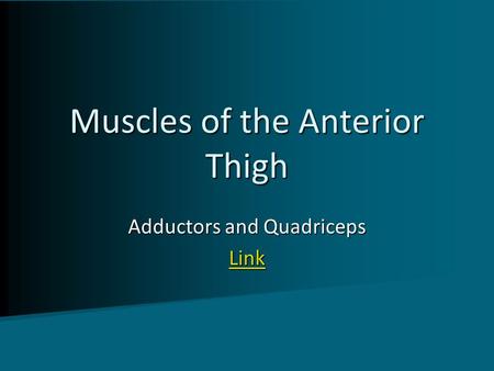Muscles of the Anterior Thigh