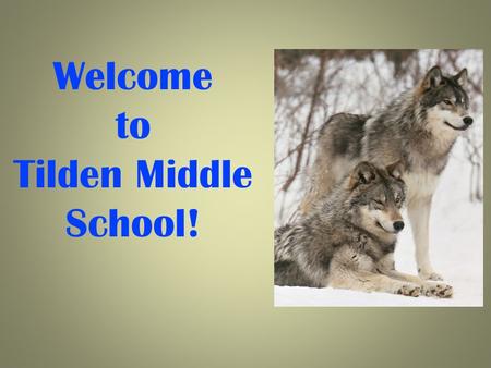 Welcome to Tilden Middle School!. Welcome to Tilden Irina LaGrangePrincipal Maniya JulesAssistant Principal Jim AlessiResource Counselor Angela Hammie-Bonner6.