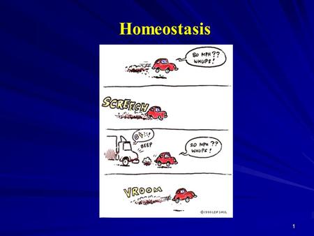 1 Homeostasis. 2 Homeostasis Homeostasis is the maintenance of a dynamic consistency of the body’s internal environment. Normal functional activities.