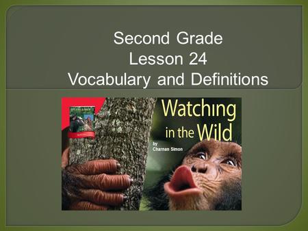 Second Grade Lesson 24 Vocabulary and Definitions.
