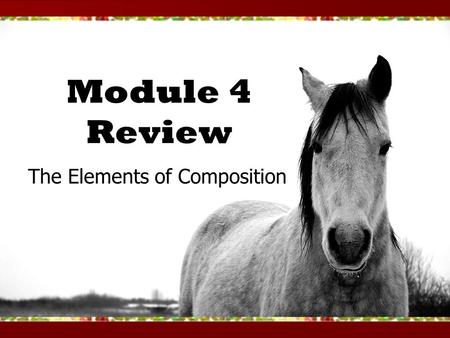 Module 4 Review The Elements of Composition. Important Definitions What is focus? What is focus? –When an image is clear –Press the shutter release halfway.