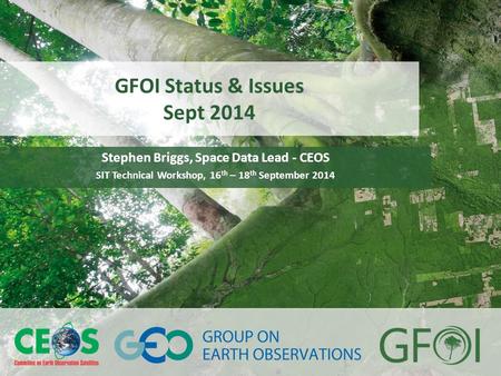 GFOI Status & Issues Sept 2014 Stephen Briggs, Space Data Lead - CEOS SIT Technical Workshop, 16 th – 18 th September 2014.