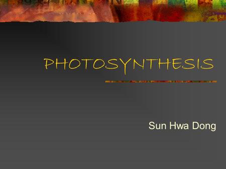 PHOTOSYNTHESIS Sun Hwa Dong. Photosynthesis Produces organic substances Uses light Energy, Simple inorganic substances Light Energy to Chemical Energy.