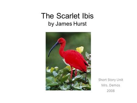 The Scarlet Ibis by James Hurst Short Story Unit Mrs. Demos 2008.