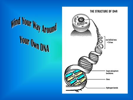 1.To provide students with an understanding that cells (and all living things) contain DNA 2. DNA is a physical structure that can be seen with an unaided.