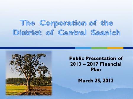 Public Presentation of 2013 – 2017 Financial Plan March 25, 2013.