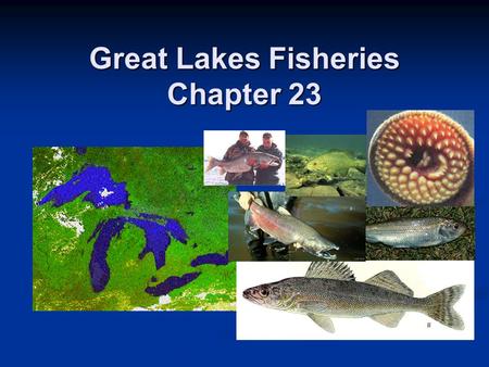 Great Lakes Fisheries Chapter 23. Overfishing Problems Sport and commercial fishing concerns Oligotrophic lakes - low productivity - low standing crop.