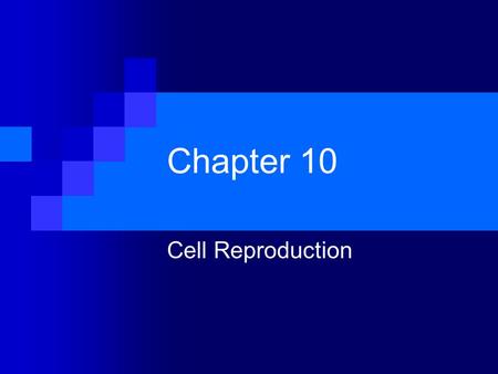 Chapter 10 Cell Reproduction.