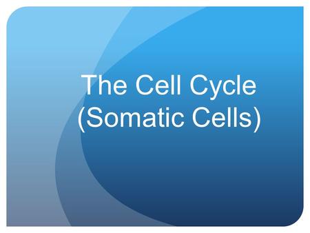 The Cell Cycle (Somatic Cells). Vocabulary Interphase Prophase Metaphase Anaphase Telophase Cytokinesis.