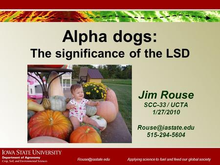 science to fuel and feed our global society Jim Rouse SCC-33 / UCTA 1/27/2010 Alpha dogs: The significance of the LSD
