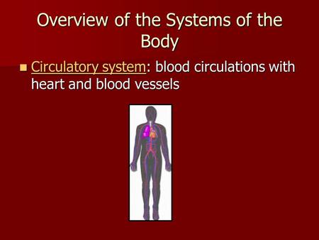 Overview of the Systems of the Body Circulatory system: blood circulations with heart and blood vessels Circulatory system: blood circulations with heart.
