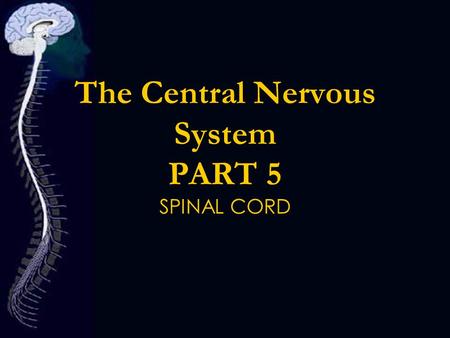 The Central Nervous System PART 5