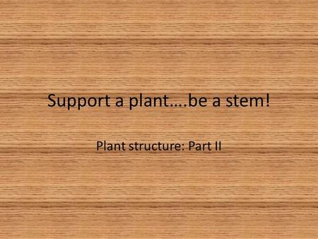 Support a plant….be a stem!