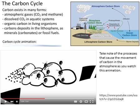Take note of the processes that cause the movement of carbon in the atmosphere as you watch this animation. https://www.youtube.com/wa tch?v=2Jp1D1dzxj8.