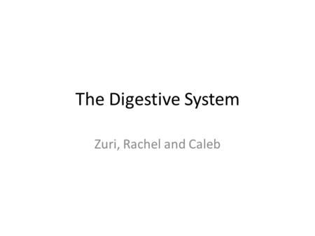 The Digestive System Zuri, Rachel and Caleb. Where is the digestive system located? The digestive system is a bunch of organs located all throughout abdomen.