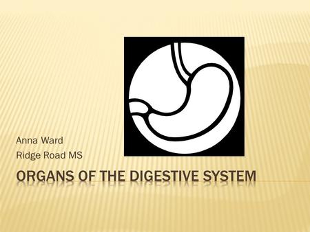 Anna Ward Ridge Road MS.  The Digestive System is the body system which breaks down food so that cells can use it for energy. It includes:  Esophagus.
