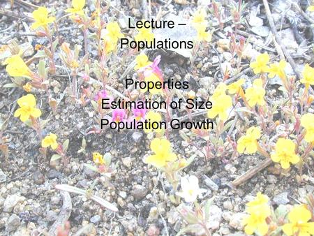 Lecture – Populations Properties Estimation of Size Population Growth.