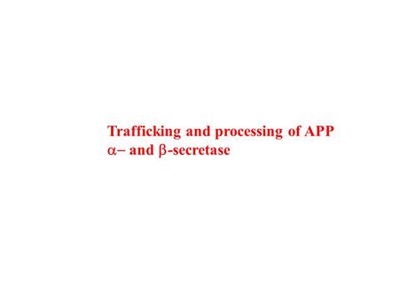 Trafficking and processing of APP  and  -secretase.