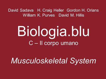 David Sadava H. Craig Heller Gordon H. Orians William K. Purves David M. Hillis Biologia.blu C – Il corpo umano Musculoskeletal System.