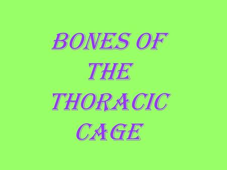 BONES OF THE THORACIC CAGE. Name the green vertebrae. (LIST) thoracic.