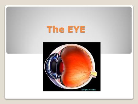 The EYE. Layers of the Eye Sclera Choroid layer Retina.