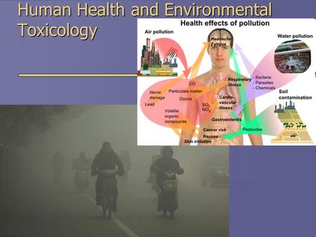 Human Health and Environmental Toxicology. Human Health  2 indicators of human health  Life expectancy - how long people are expected to live  Infant.
