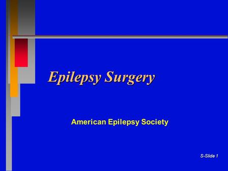 American Epilepsy Society